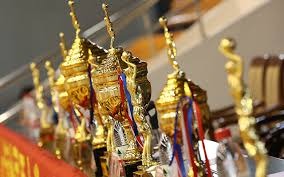 马德兴：中超下赛季亚冠无法享受泰超1+1+2特殊待遇